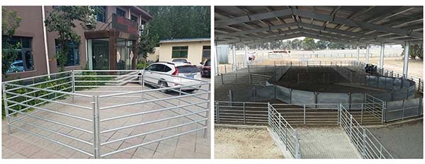 Heavy duty livestock Cattle Panel