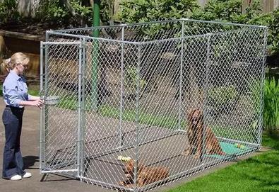 High standard Chain Link Dog Cage